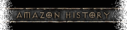 Amazon History